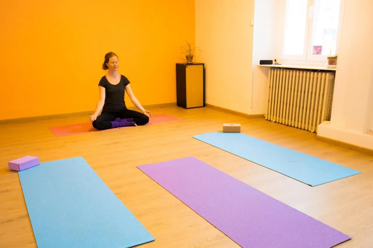 Solfe Backpacker Hostel Luz-Saint-Sauveur 0*,